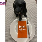 Gümüş Yaldızlı Turuncu İyi Ki Doğdun Baskılı Garson Katlama Peçete 16 Adet